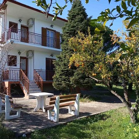 manousi 2  Villa Mystras Buitenkant foto